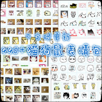 Wretched cat spoof cat expression pack God annoying dog expression pack qq WeChat expression hamster expression pack All kinds of cats dogs and mice