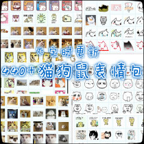 Wretched cat spoof cat expression pack God annoying dog expression pack qq WeChat expression hamster expression pack All kinds of cats dogs and mice