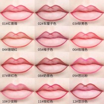 Lip liner lipstick lipstick brush waterproof long-lasting non-stick Cup does not fade matte fog surface hook easy to color