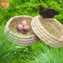 Chicken Nest Pigeon Nest Dutch Pig Grass Cohort Nest of Nest Egg Cohorts Cohort Cohort Owl Owl Owl Owl