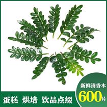 Cake decorated green vegetable cement cake ice powder daily meal baking decoration decoration plate fresh beard