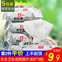 Sanitary Wipes Womens Private Care Adult Scent Clean Wipes 5 packs * 30 pieces