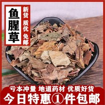 Full of 1 piece of Houttuynia cordata 1000 grams Chinese herbal medicine dog heart grass folding ear root dog ear dog ear