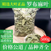 Xinjiang big leaf apocynum leaf tea Chinese herbal medicine bulk 500g a catty of new non-sulfur primary color