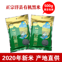 Yangxian black rice Shaanxi Hanzhong specialty new rice pure farm self-produced grains blood rice black glutinous rice 500g
