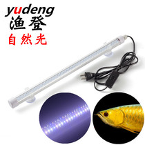 Fishing Deng with 1 7 meters plug line T8LED fish tank waterproof lamp ultra-white natural light gold and silver dragon aquarium lamp