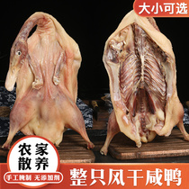 2 Jin of the whole air-dried salted duck special bacon Anhui Luan local specialty salted duck