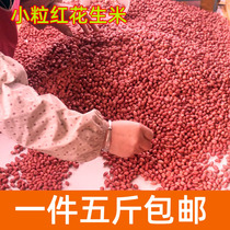 Red peanut 1000g red skin small-grain raw peanut kernels Four red peanuts dried peanuts