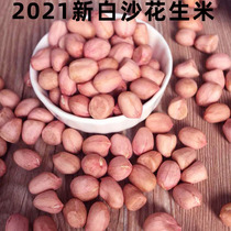 Fresh peanuts 2021 white sand peanuts dried raw peanut kernel powder clothing peanut 1000g