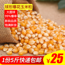 Chunzhe spherical popcorn corn kernels commercial popcorn special raw material new fried popcorn