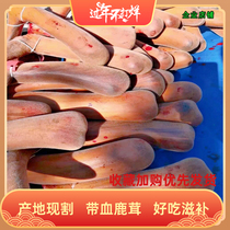 Fresh deer antler tablets Jilin Shuangyang plum flower deer antler tablets pruning first stubble blood tablets male soaking wine ingredients 30g