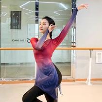 Set of fingers hot diamond classical dance clothing modern body rhyme performance practice clothing body teacher gauze National elegant coat