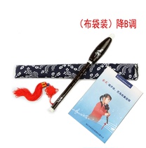 Resin Bawu vertical blow C tune B tune G tune F tune Primary school students Children adults beginners Professional play Jinling musical instruments