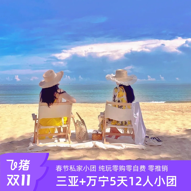双11】2-12人三亚+万宁5天4晚纯玩团跟团游海南旅游蜈支洲岛旅行,一场梦中的海岛之旅-旅行团-淘宝好物网