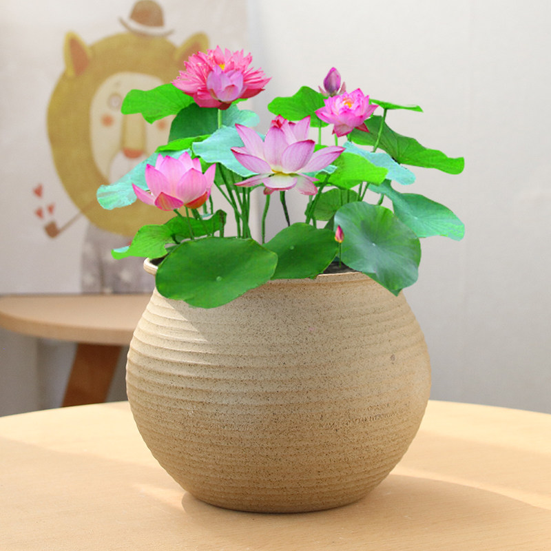 无孔禅意花盆-无孔禅意花盆促销价格、无孔禅意花盆品牌- 淘宝