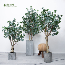Nordic simulation Eucalyptus tree fake green plant ornaments Japanese hanging clock plant potted living room floor decoration Horse drunk wood