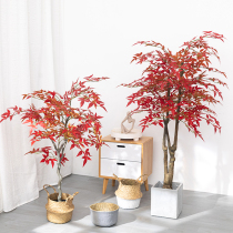 Simulation green plant fake red maple potted plant landscaping maple leaf decorative flower living room floor-to-ceiling decoration large fake flower