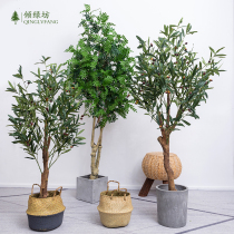 Nordic ins simulation green plant potted olive tree landing large fake plant ornaments indoor home Net red decoration