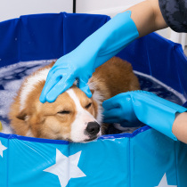Pet Bath Gloves Kirkie Bath God Dogs Beaume Dogs Rubbing brushes Anti-grip Anti-bite massage Supplies