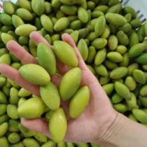 (2021 new fruits) Chaoshan fresh green olives are now picked and now found pregnant women's fruits eat 500g of yellow olive green fruits raw