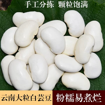 鲜白芸豆-鲜白芸豆促销价格、鲜白芸豆品牌- 淘宝
