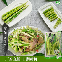 Emerald bamboo shoots fresh small bamboo shoots tender tips spicy hot pot catering bamboo shoots 500g water Luohan commercial fresh