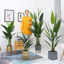 Nordic simulation plant fake Canna ins Wind decoration landing creative ornaments large green living room potted plants