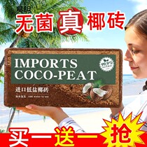 Coconut brick nutritional soil Flower cultivation Universal coconut bran clearance special shell bran brick coarse succulent vegetables Large pieces desalination
