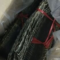 Black snake skin Jinghu snake skin whole Jinghu snake skin Jinghu mask snake skin black snake skin 11-12 wide