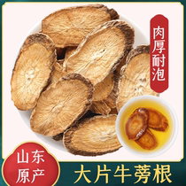 Health Tea Drinking Burdock Tea Pieces Selected Good Shandong Special Wild Gold Burdock Root 500g