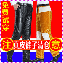Leather pants mens leather sheep leather winter plus velvet thickened waterproof cold-proof motorcycle take-out high-waisted trousers