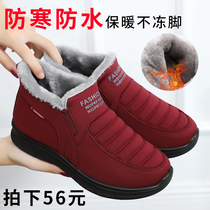 Winter waterproof non-slip elderly cotton shoes female old Beijing cloth shoes plus velvet warm mother shoes grandma middle-aged and old size