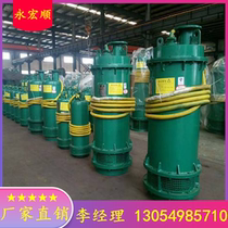  Mine explosion-proof submersible pump model complete BQS20-405 9-55 N supply BQS explosion-proof sand discharge pump