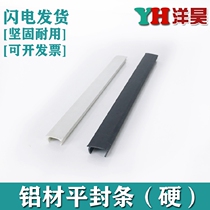European standard aluminum profile flat sealing strip 3030 4040 national standard flat sealing groove strip decorative strip sealing strip bead sealing strip