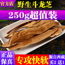 Doulongzhi wild Tibet slices (selected large size) Chinese medicine wolfberry tea bubble water Buy two get one free