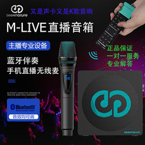 Senran audio sound card all-in-one machine Singing special recording live broadcasting equipment k song outdoor