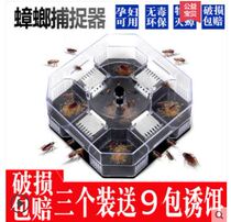 (Box package bait)Cockroach trap Cockroach artifact House box medicine paste Kitchen non-toxic kill