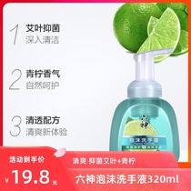 Liushen foam antibacterial protection refreshing nourishing sterilizing cleaning hand sanitizer (Amye Lime) 320ml