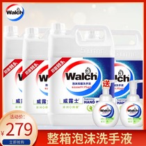 Verus foam Hand Sanitizer 5L*4 barrels Lime Yingrun fragrance care refill Hotel kindergarten factory kg