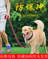  Dogs new traction rope Walking dogs Medium-sized dog Corgi Samoyed large golden retriever Labrador collar p rope