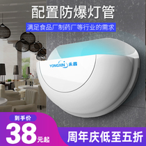Yongxin Extermination Mosquito lamp Restaurant Hotel with Fly Killing Lamp for Fly Commercial Mosquito Repellent Lamp Wall-mounted Sticky Mosquito Killer