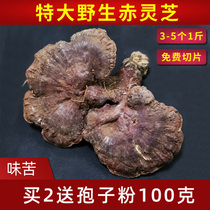 Ganoderma lucidum wild Ganoderma lucidum natural wild Ganoderma lucidum Linzhi 500g free sliced grinding powder
