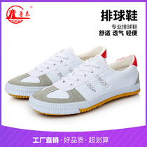 Lutai sneakers mens volleyball shoes sports training running shoes breathable non-slip ox tendon martial arts shoes womens white shoes