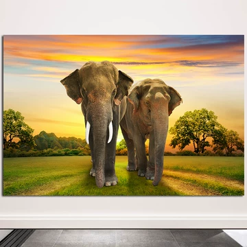 大象壁画挂画-大象壁画挂画促销价格、大象壁画挂画品牌- 淘宝