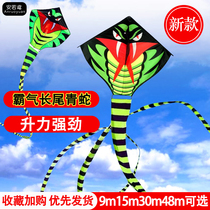Weifang Anruo kite green snake kite adult special large high-end long tail bamboo leaves Green Breeze easy to fly children cartoon