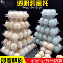 Egg box egg tray plastic disposable packaging box duck egg tray transparent blister foreign egg tray shockproof