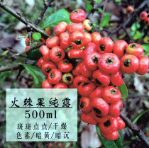 Pyracantha fruit pure Dew 500ml fresh water-white tender skin spots black yellow skin remember to try Oh