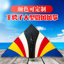 2 Ping Wang Zi breeze easy-to-fly triangle kite Weifang 544 aviation soft umbrella cloth carbon rod good fly adult
