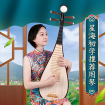 Xinghai pipa musical instrument beginner introduction Adult children color wood practice playing pattern pipa for more than a year