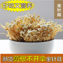 Gutian Farmhouse Golden Needle Mushrooms Dry Goods Cut Root Unopened Umbrella White Gold Needle 500g Mushrooms Fujian Tutei Produce